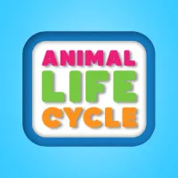 Play Animal Life Cycle now!